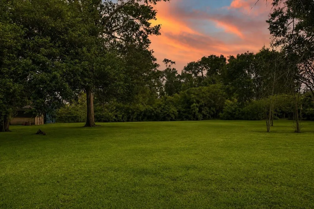 8407 Wilson Street Fulshear, TX 77441