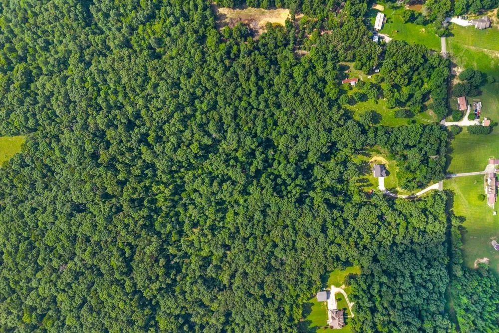 381 Tummins Rd Mc Ewen, TN 37101