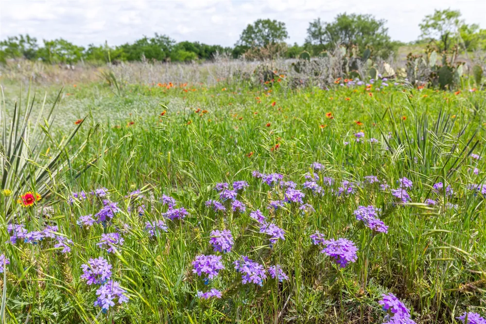 7416 Highway 84 Lawn, TX 79530