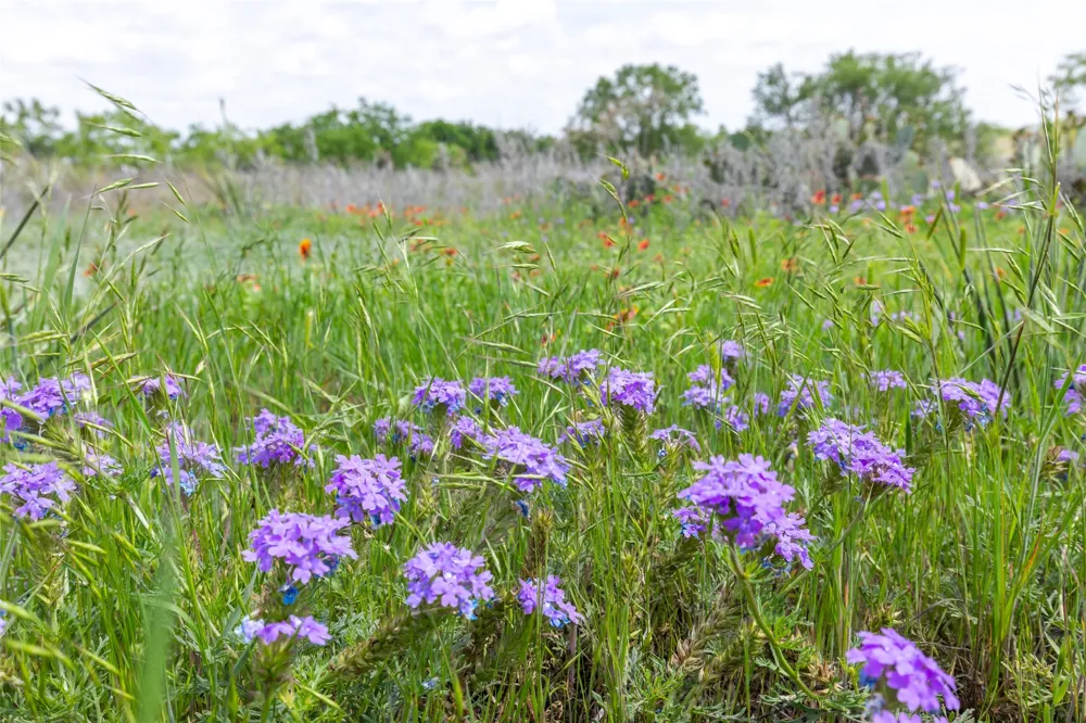 7416 Highway 84 Lawn, TX 79530