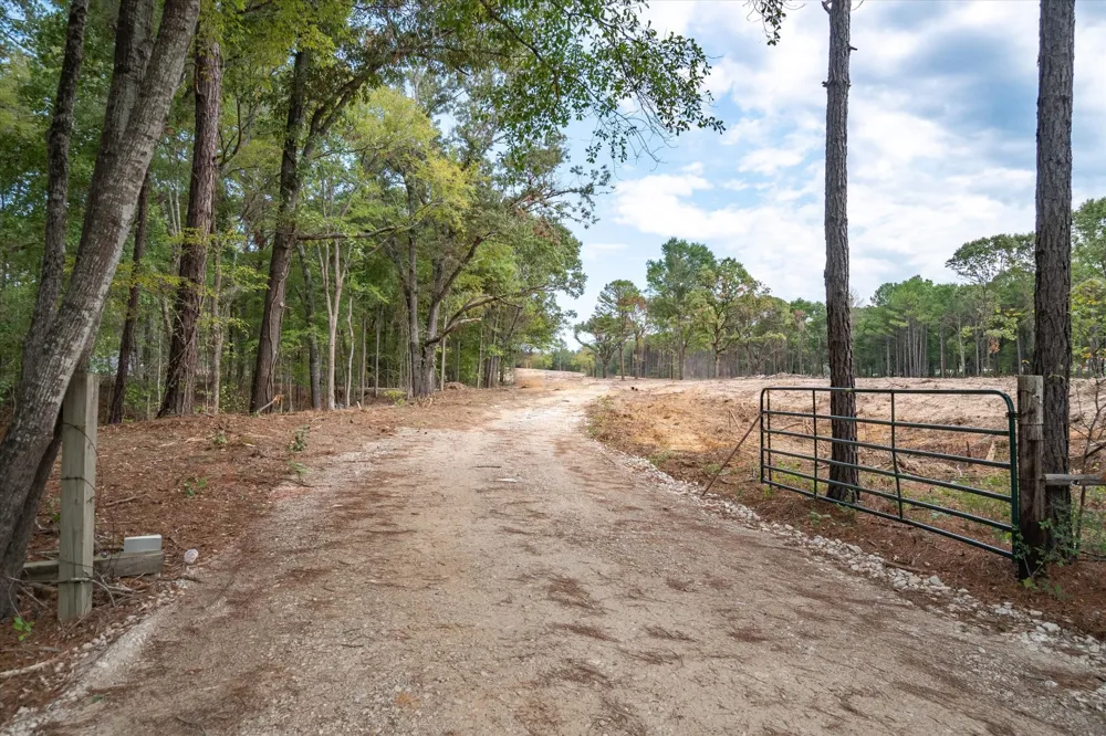 County Road 4307 Road Larue, TX 75770