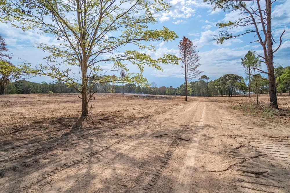 County Road 4307 Road Larue, TX 75770
