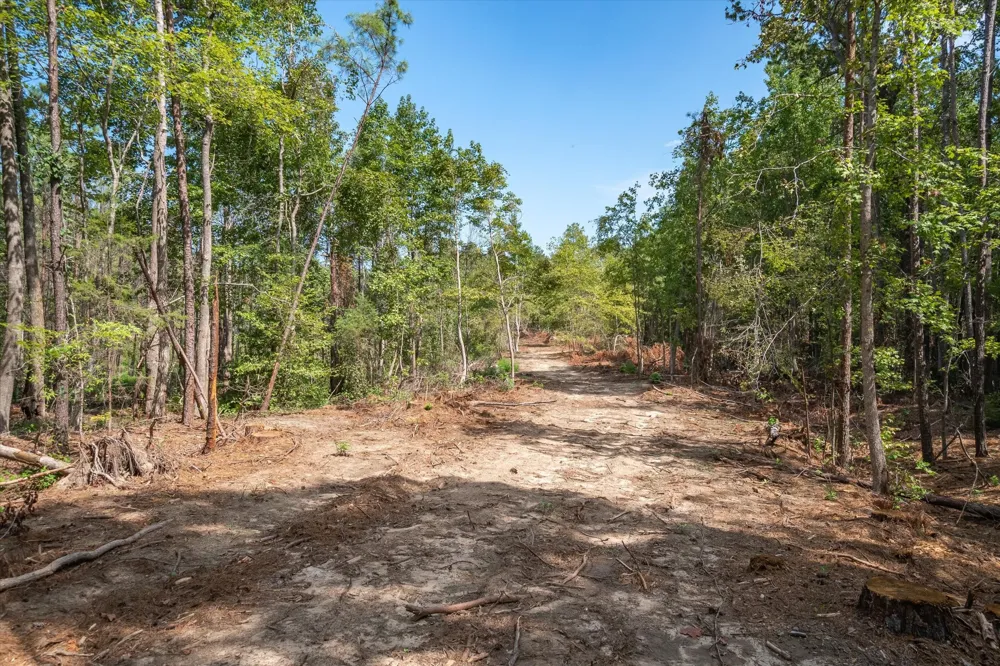 County Road 4307 Road Larue, TX 75770