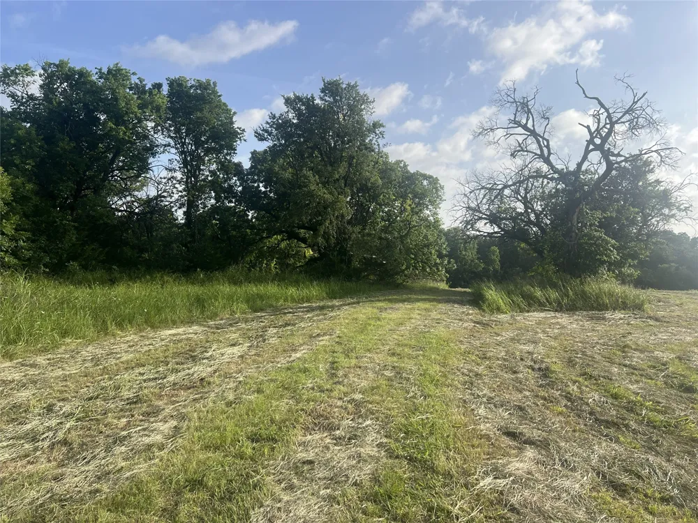 Seven Oaks Road Bonham, TX 75418