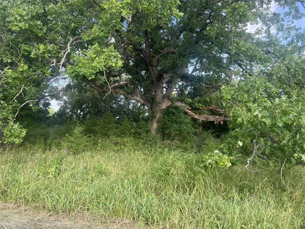 Seven Oaks Road Bonham, TX 75418