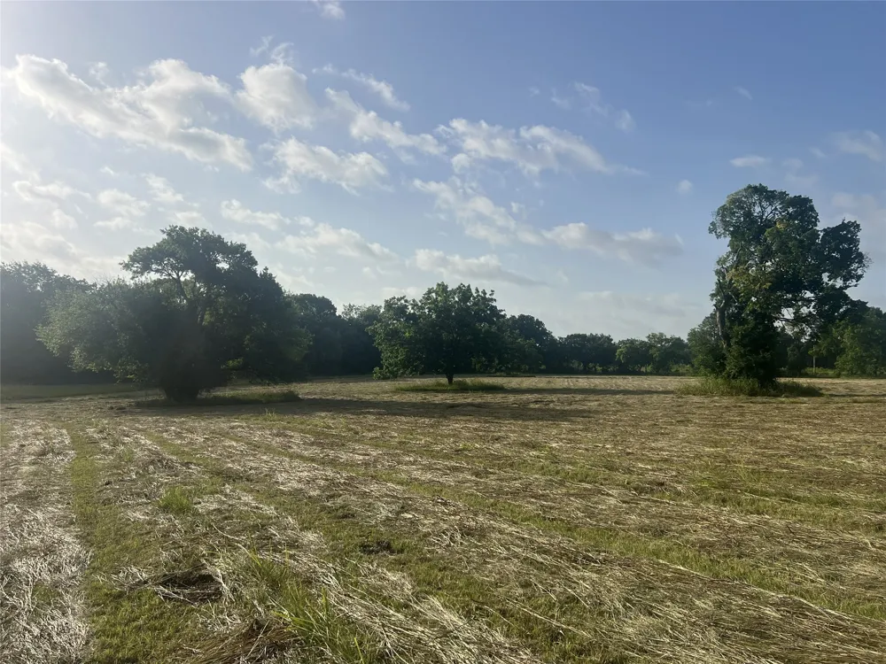 Seven Oaks Road Bonham, TX 75418