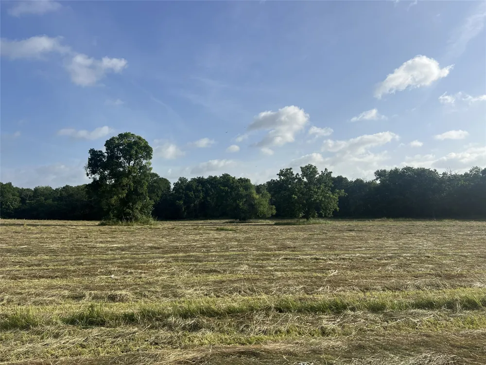 Seven Oaks Road Bonham, TX 75418