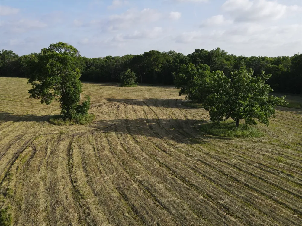 Seven Oaks Road Bonham, TX 75418