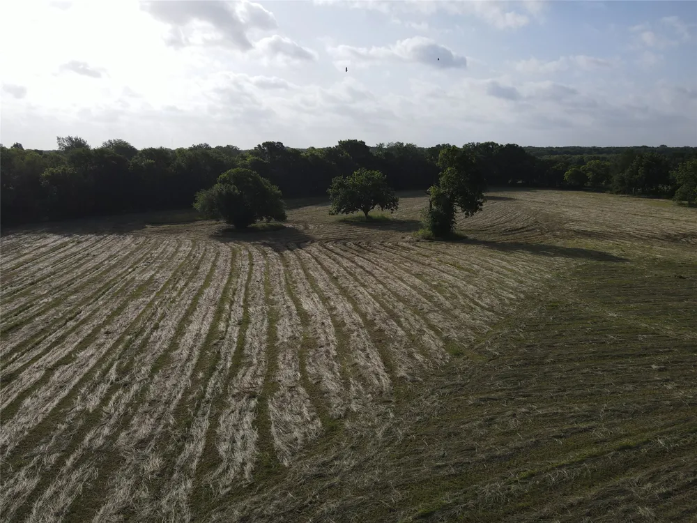 Seven Oaks Road Bonham, TX 75418