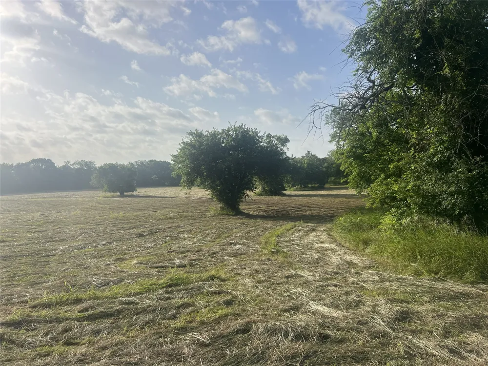 Seven Oaks Road Bonham, TX 75418