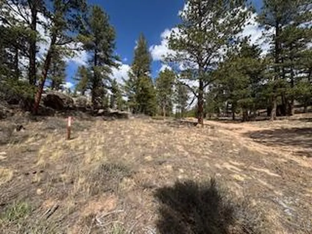 3086 Fox Acres Drive E Red Feather Lakes, CO 80545
