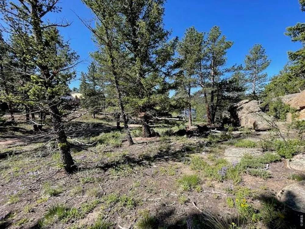 3086 Fox Acres Drive E Red Feather Lakes, CO 80545
