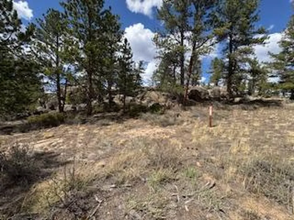 3086 Fox Acres Drive E Red Feather Lakes, CO 80545