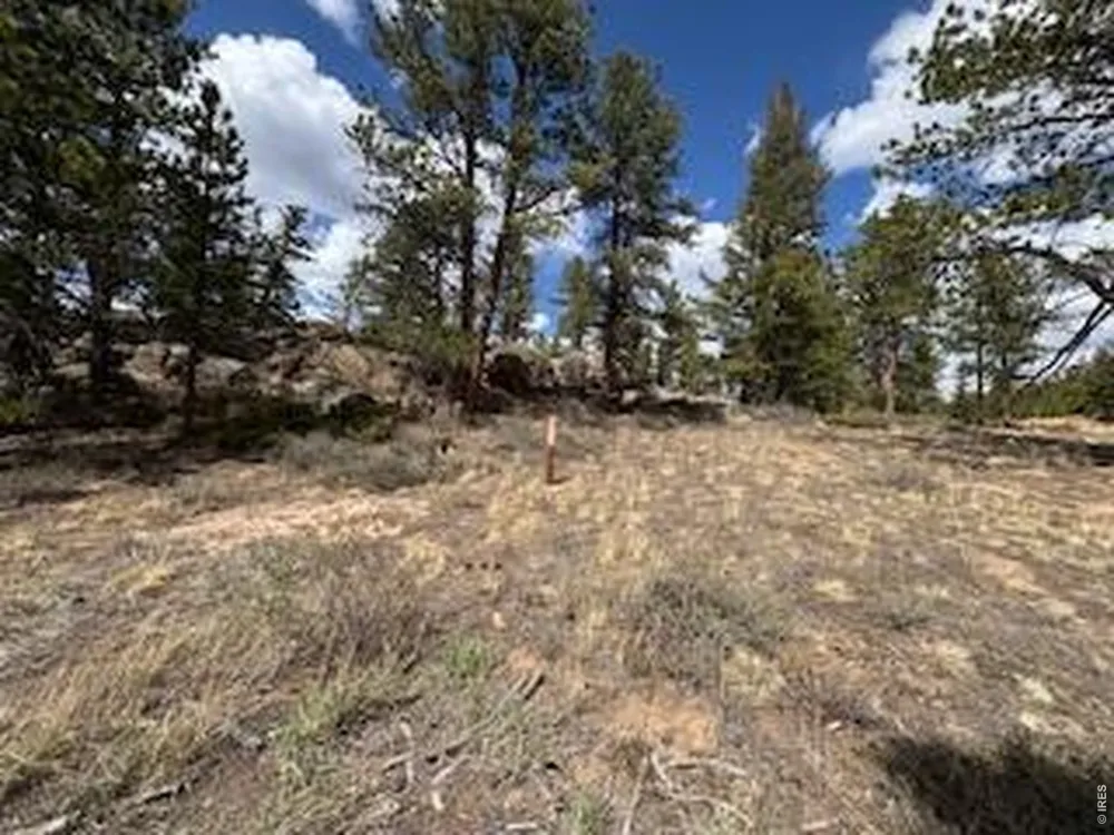 3086 Fox Acres Drive E Red Feather Lakes, CO 80545