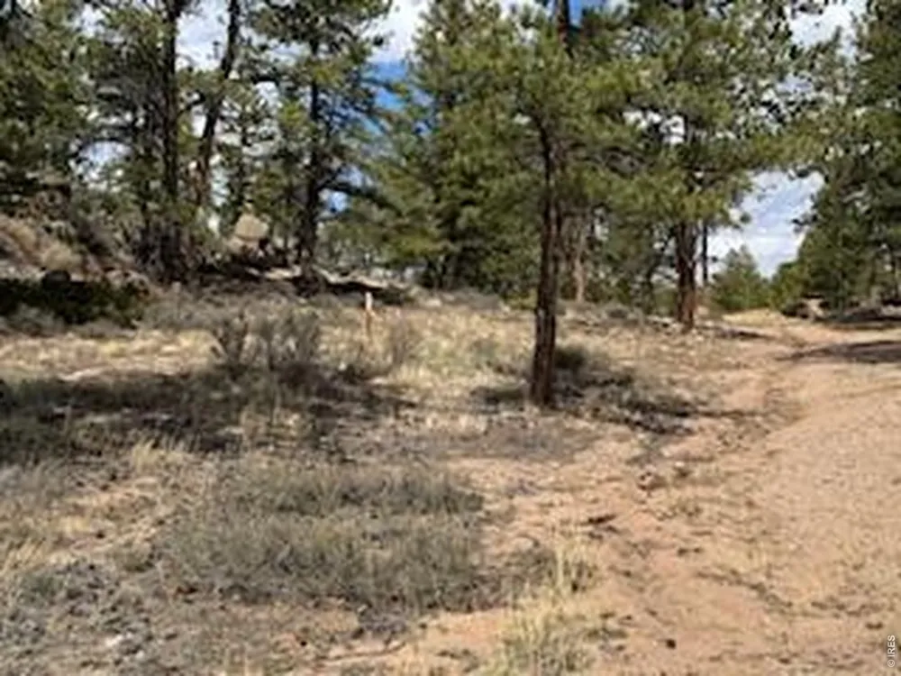 3086 Fox Acres Drive E Red Feather Lakes, CO 80545