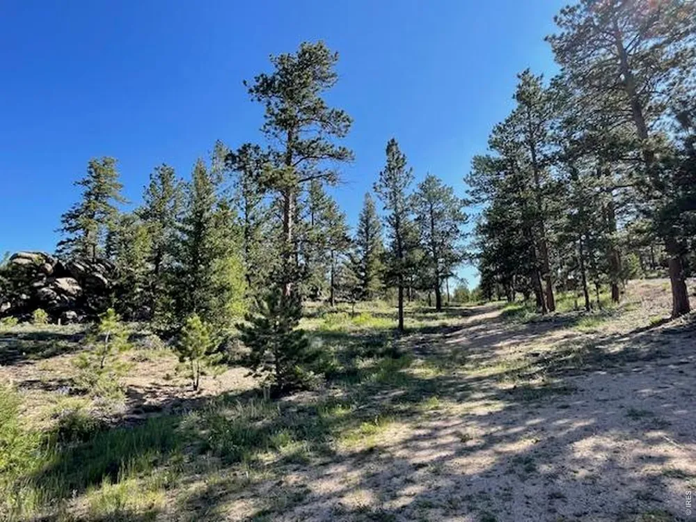3086 Fox Acres Drive E Red Feather Lakes, CO 80545