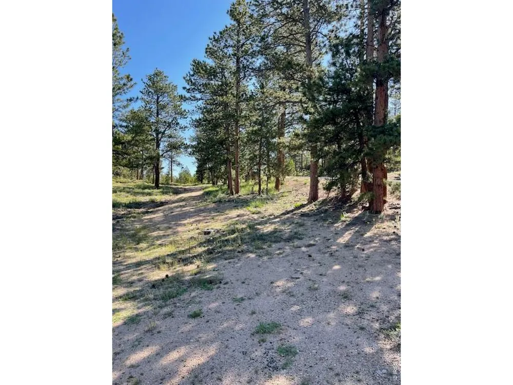 3086 Fox Acres Drive E Red Feather Lakes, CO 80545