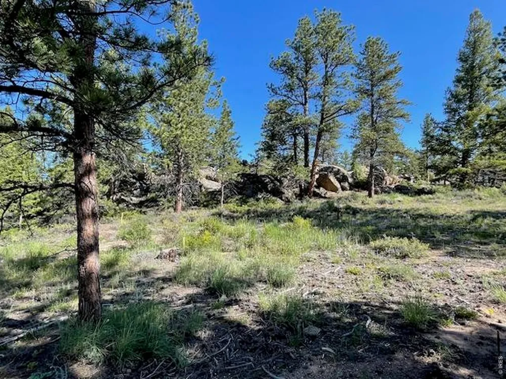 3086 Fox Acres Drive E Red Feather Lakes, CO 80545