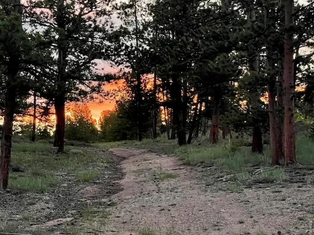 3086 Fox Acres Drive E Red Feather Lakes, CO 80545