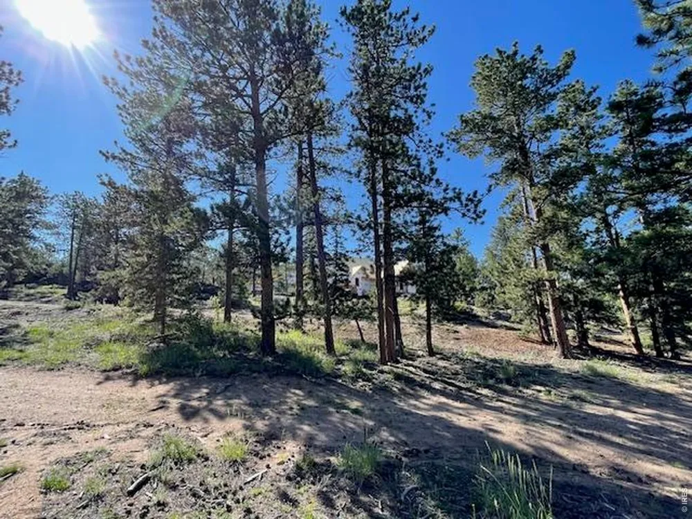 3086 Fox Acres Drive E Red Feather Lakes, CO 80545