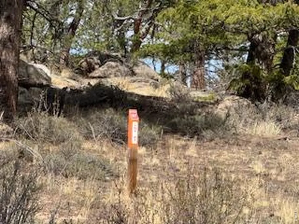 3086 Fox Acres Drive E Red Feather Lakes, CO 80545