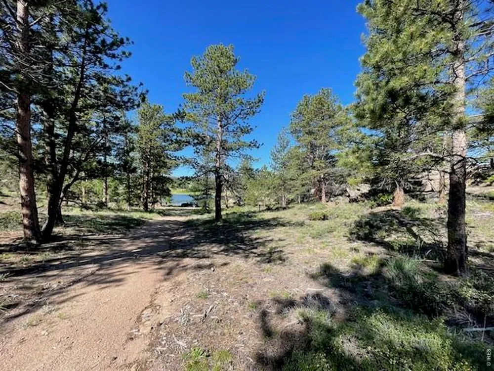 3086 Fox Acres Drive E Red Feather Lakes, CO 80545