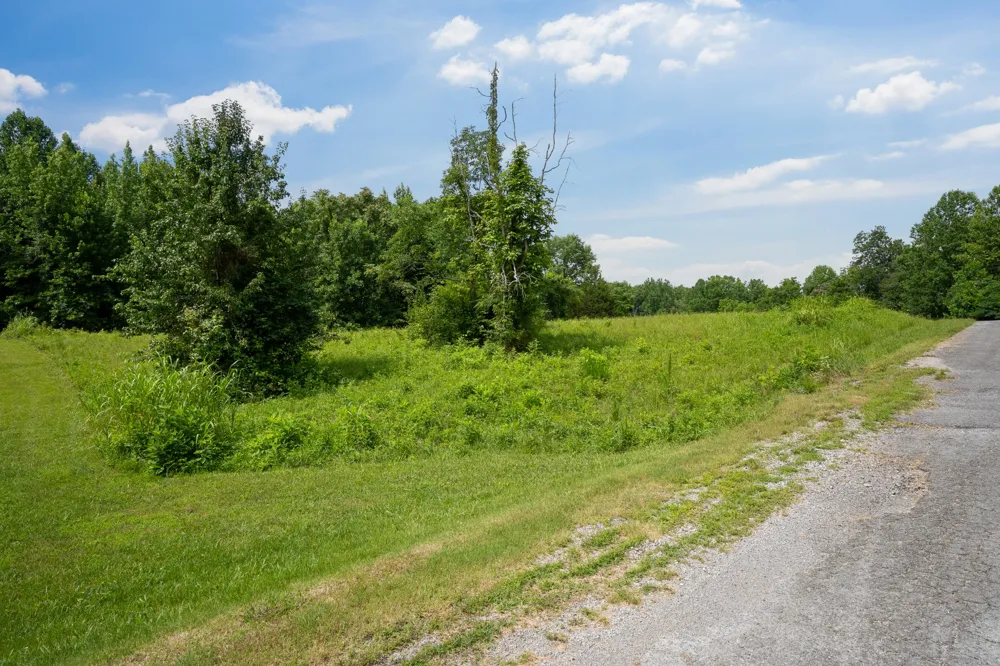 0 Summer Breeze Dr Smithville, TN 37166