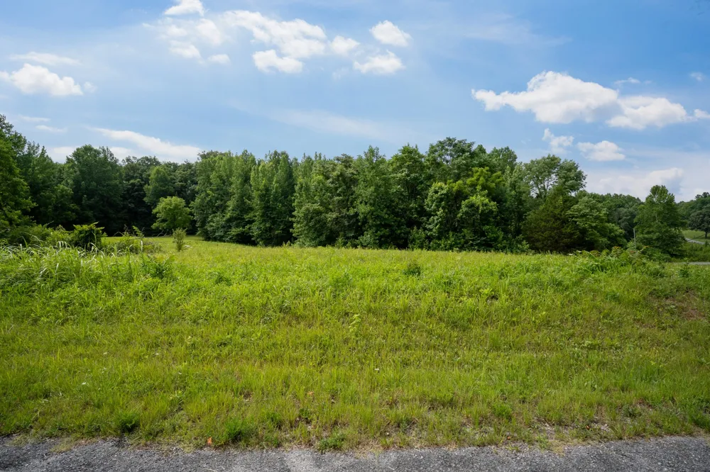 0 Summer Breeze Dr Smithville, TN 37166