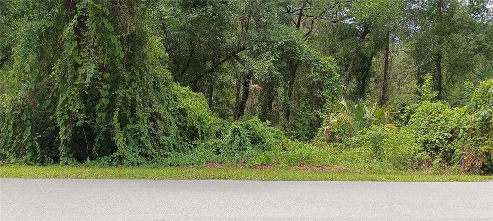 1876 BLACKWELDER ROAD De Leon Springs, FL 32130