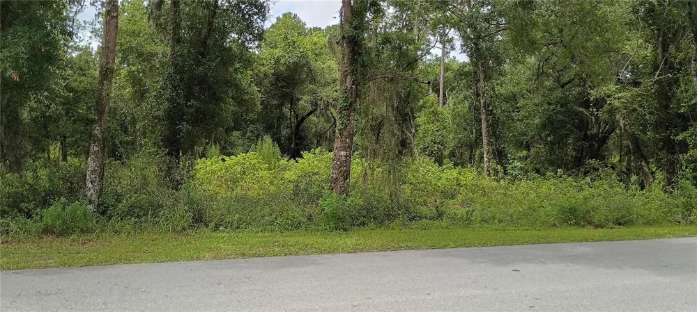 1876 BLACKWELDER ROAD De Leon Springs, FL 32130