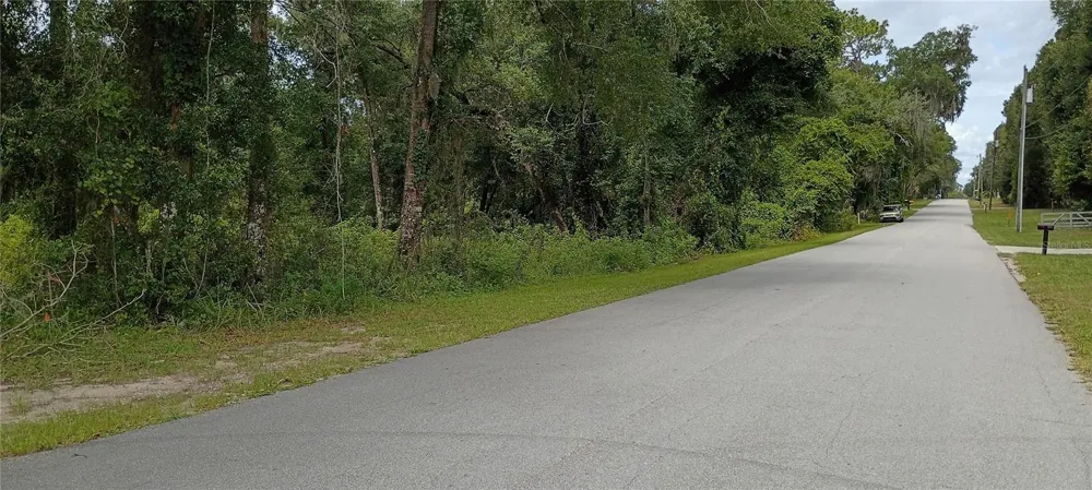 1876 BLACKWELDER ROAD De Leon Springs, FL 32130