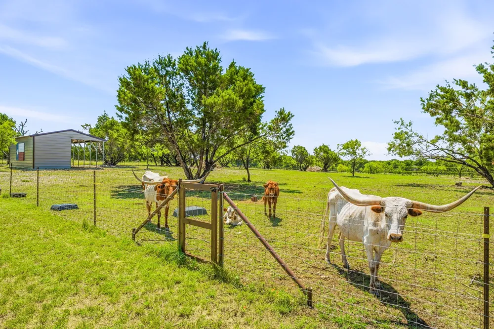 1271 Private 2120 Road Meridian, TX 76665