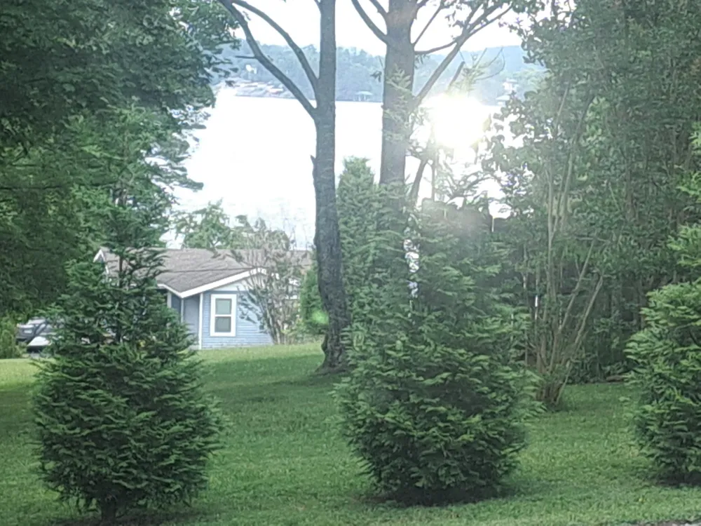 206 Lakeshire Drive Spring City, TN 37381