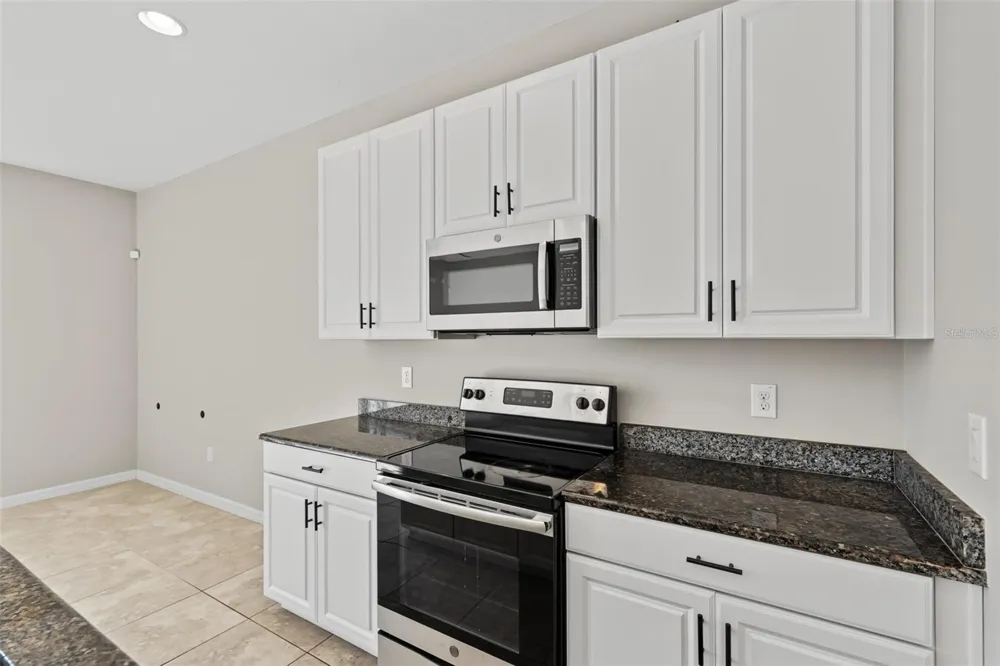 7052 SUMMER HOLLY PLACE Riverview, FL 33578