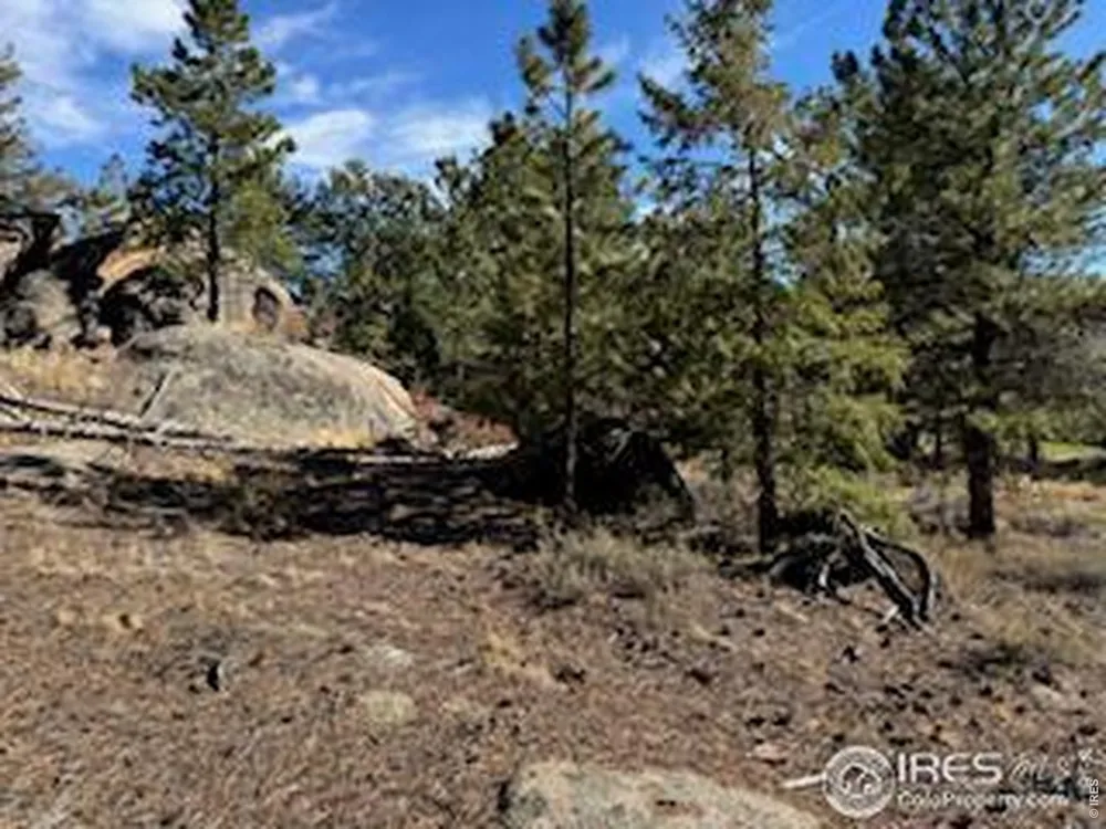 2921 Fox Acres Drive E Red Feather Lakes, CO 80545