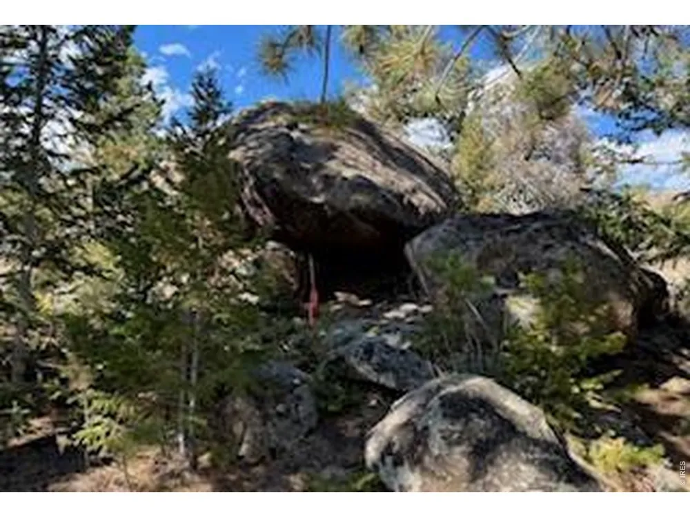 2921 Fox Acres Drive E Red Feather Lakes, CO 80545