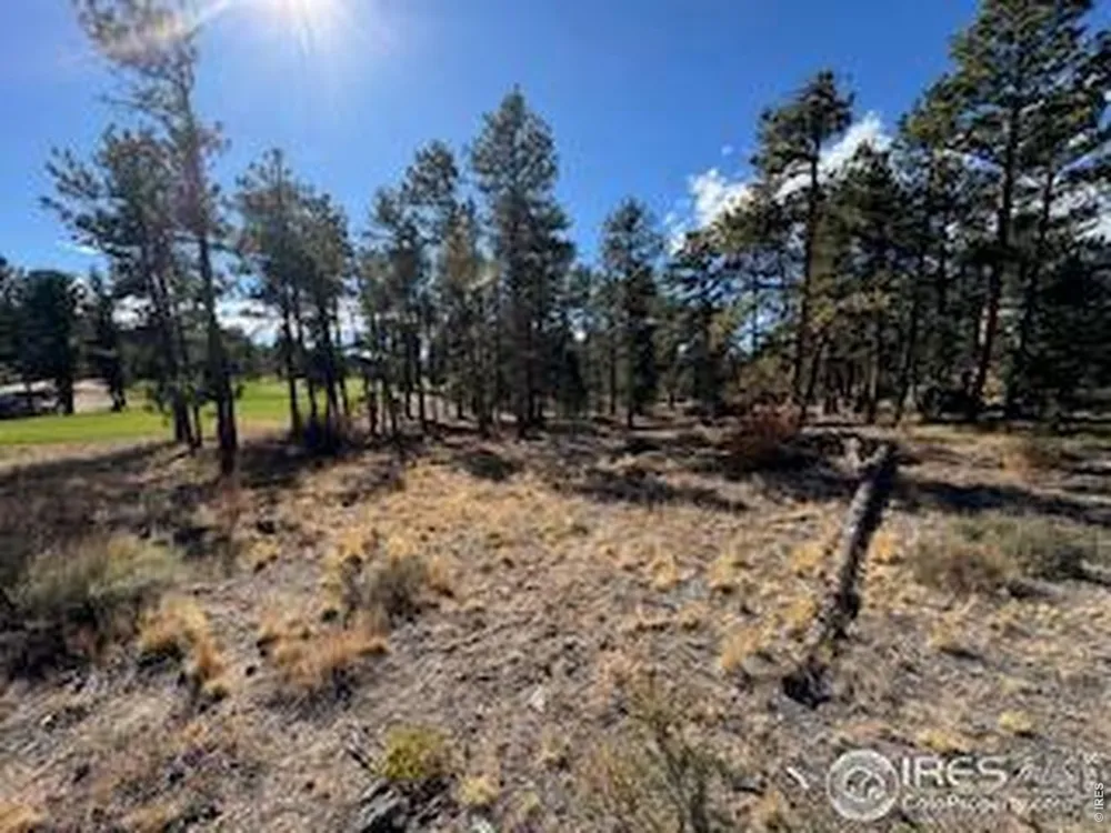 2921 Fox Acres Drive E Red Feather Lakes, CO 80545