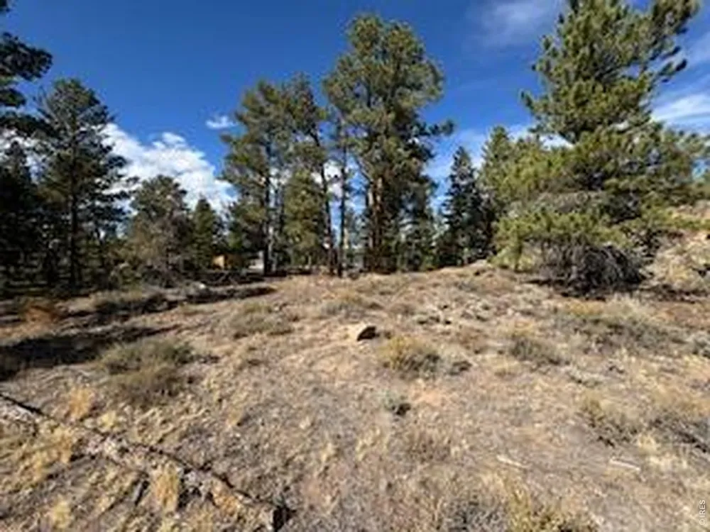 2921 Fox Acres Drive E Red Feather Lakes, CO 80545