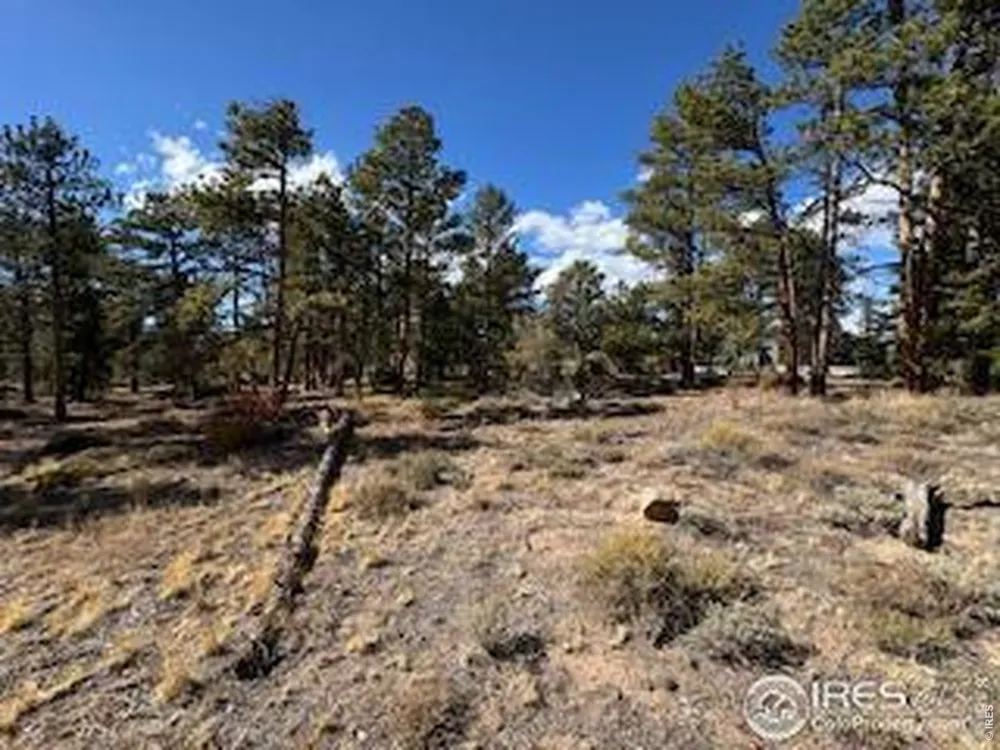 2921 Fox Acres Drive E Red Feather Lakes, CO 80545