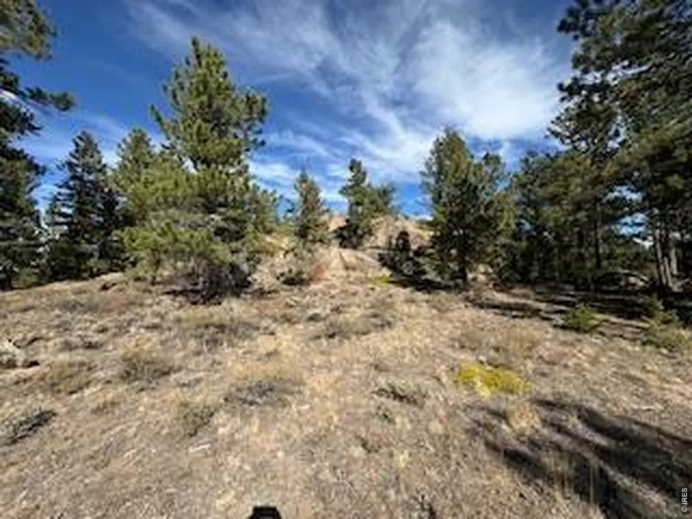2921 Fox Acres Drive E Red Feather Lakes, CO 80545