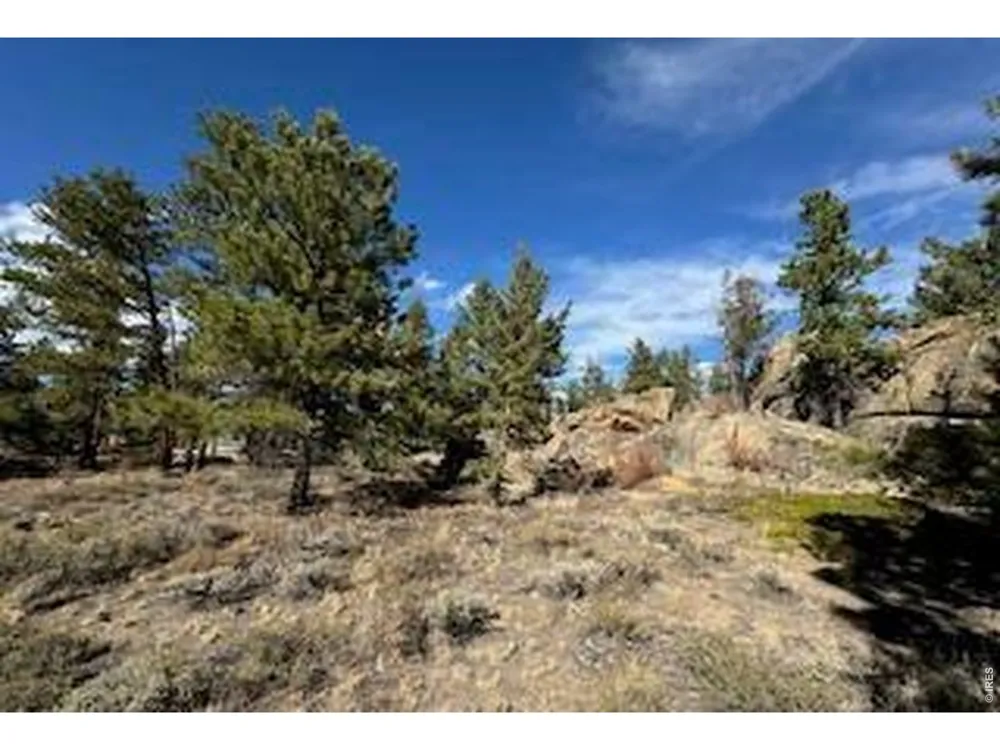 2921 Fox Acres Drive E Red Feather Lakes, CO 80545