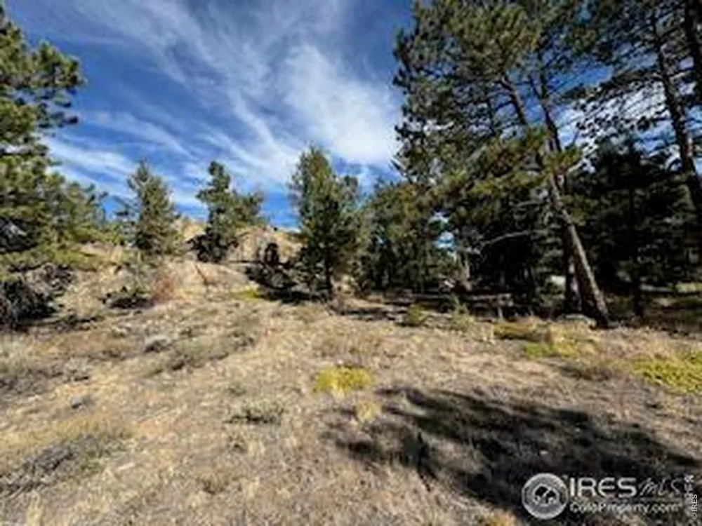 2921 Fox Acres Drive E Red Feather Lakes, CO 80545