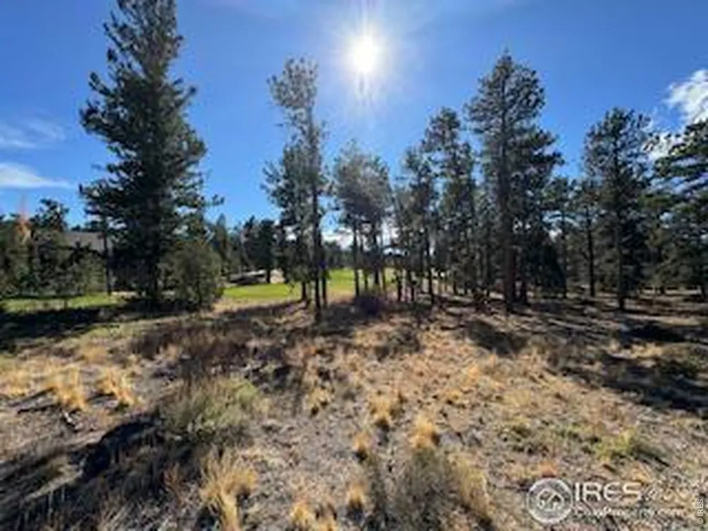 2921 Fox Acres Drive E Red Feather Lakes, CO 80545