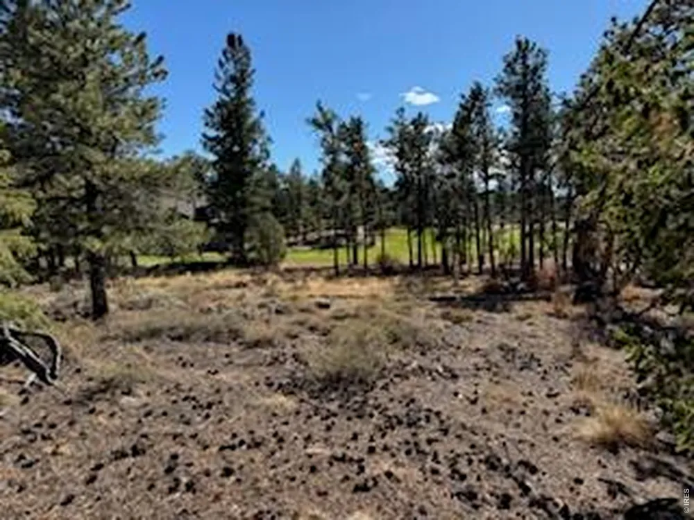 2921 Fox Acres Drive E Red Feather Lakes, CO 80545
