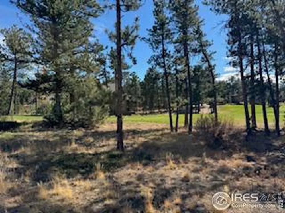 2921 Fox Acres Drive E Red Feather Lakes, CO 80545