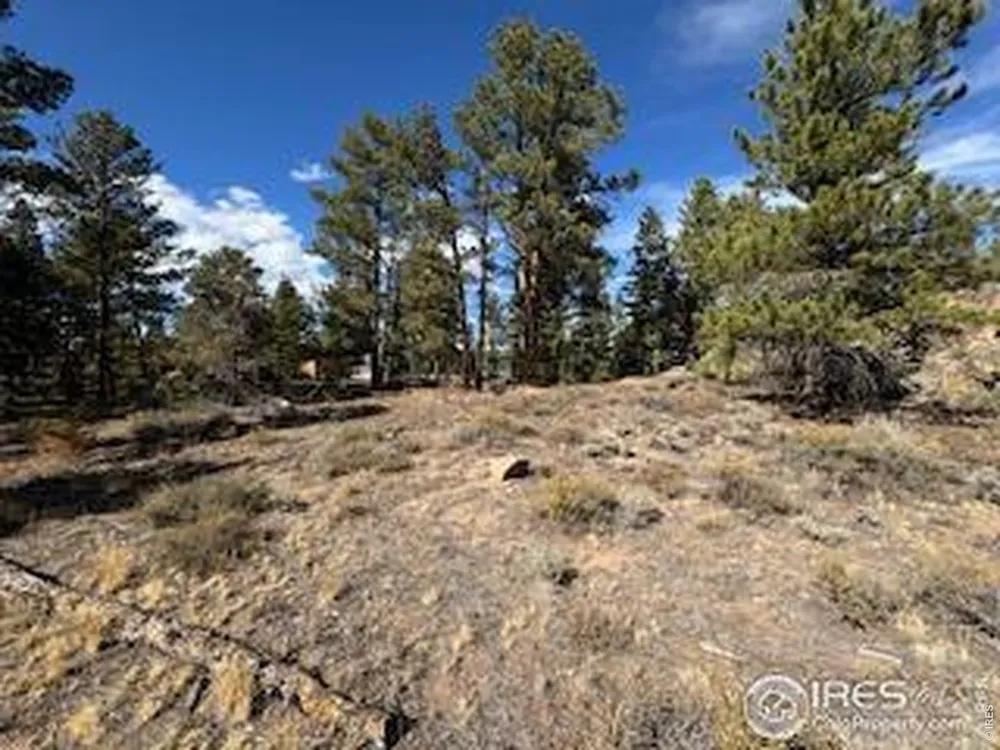 2921 Fox Acres Drive E Red Feather Lakes, CO 80545