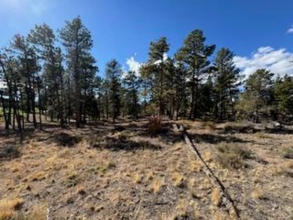 2921 Fox Acres Drive E Red Feather Lakes, CO 80545