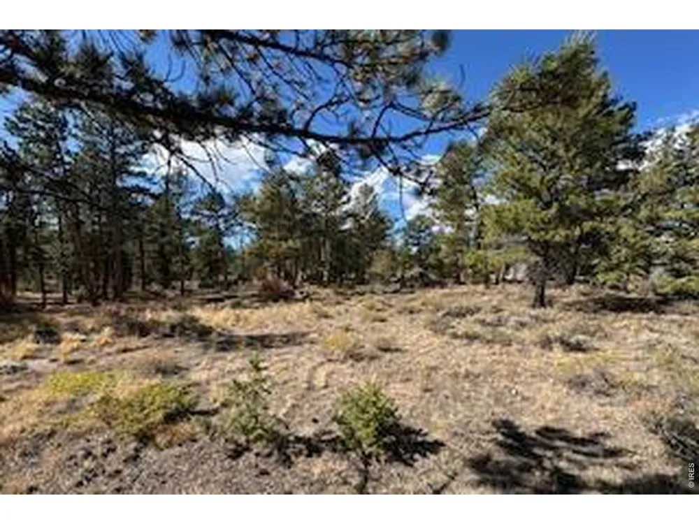 2921 Fox Acres Drive E Red Feather Lakes, CO 80545