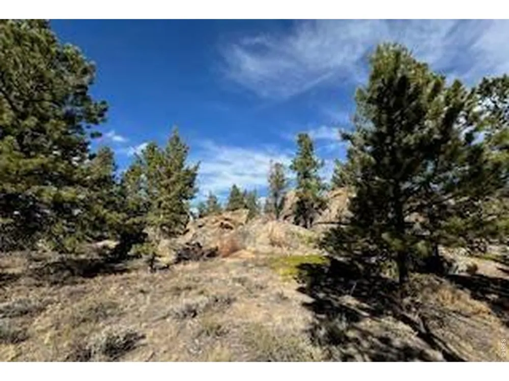 2921 Fox Acres Drive E Red Feather Lakes, CO 80545