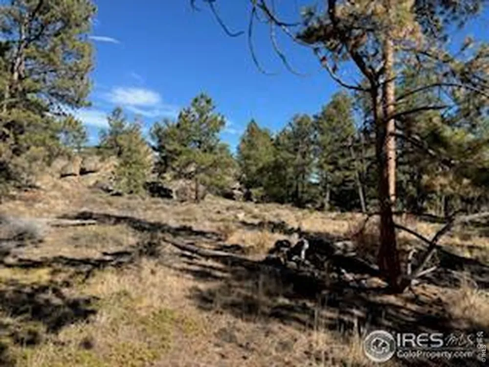 2921 Fox Acres Drive E Red Feather Lakes, CO 80545